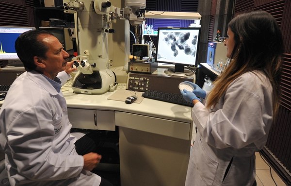 Los investigadores Reynaldo Pereira y Yendry Corrales utilizan el microscopio electrónico de transmisión para conocer la estructura y composición química de las nanopartículas halladas en el sedimento del manglar.