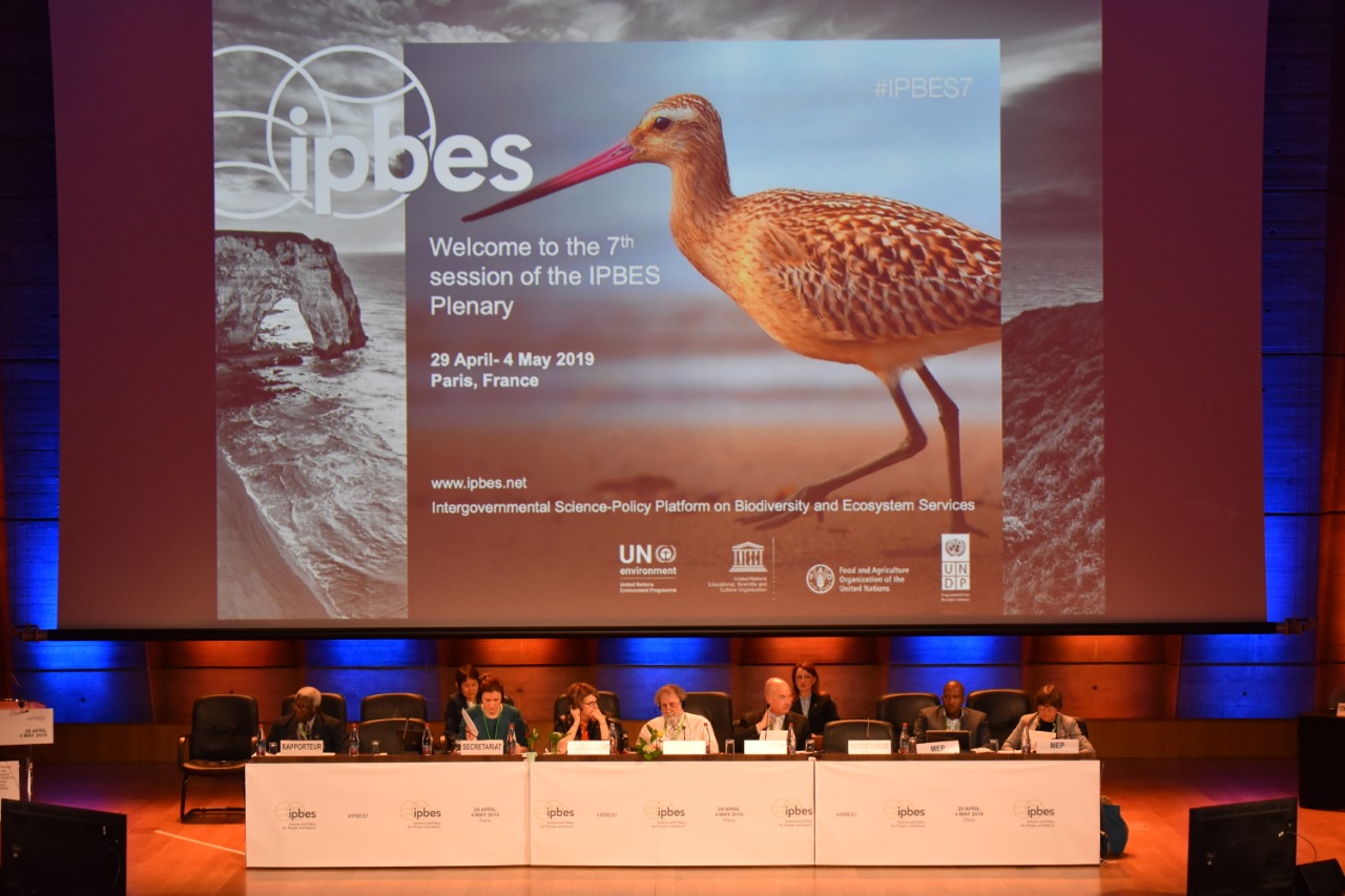 El informe elaborado por IPBES contó con el aval de más de 130 países. 
