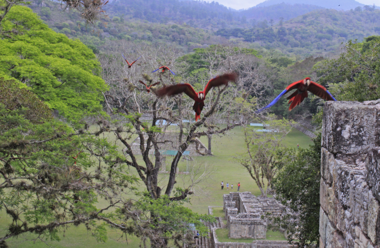Crédito: Londin Velásquez