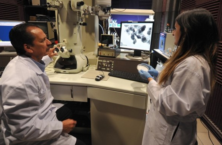 Los investigadores Reynaldo Pereira y Yendry Corrales utilizan el microscopio electrónico de transmisión para conocer la estructura y composición química de las nanopartículas halladas en el sedimento del manglar.