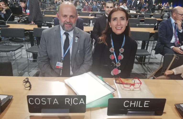 Carlos Manuel Rodríguez y Carolina Schmidt