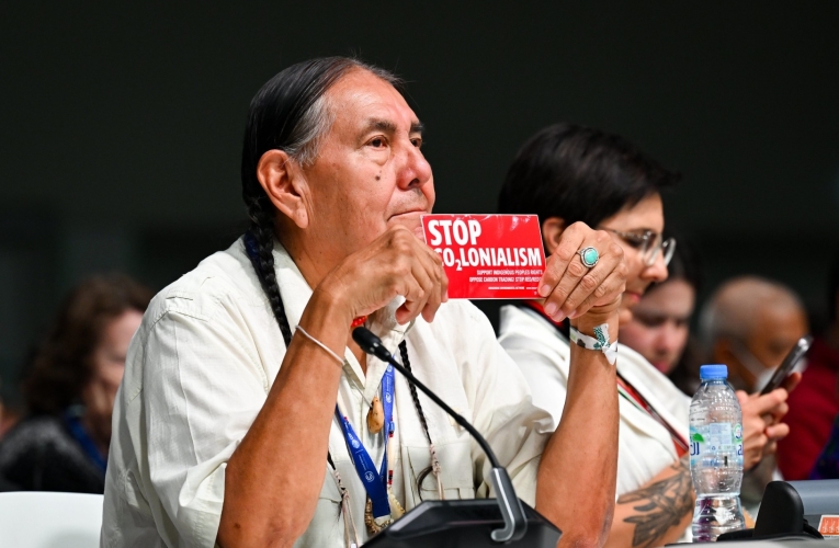 COP28 / Anthony Fleyhan