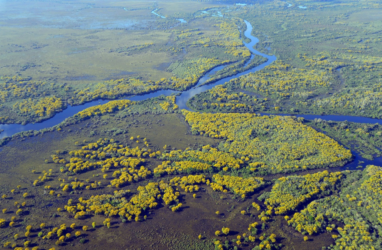 Pantanal en Brasil