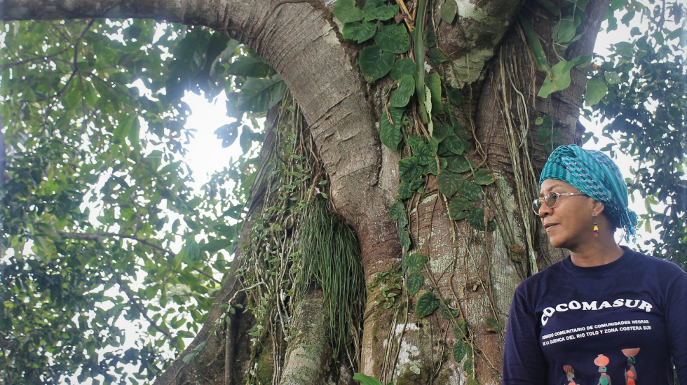 Everildys Córdoba, Coordinadora de COCOMASUR