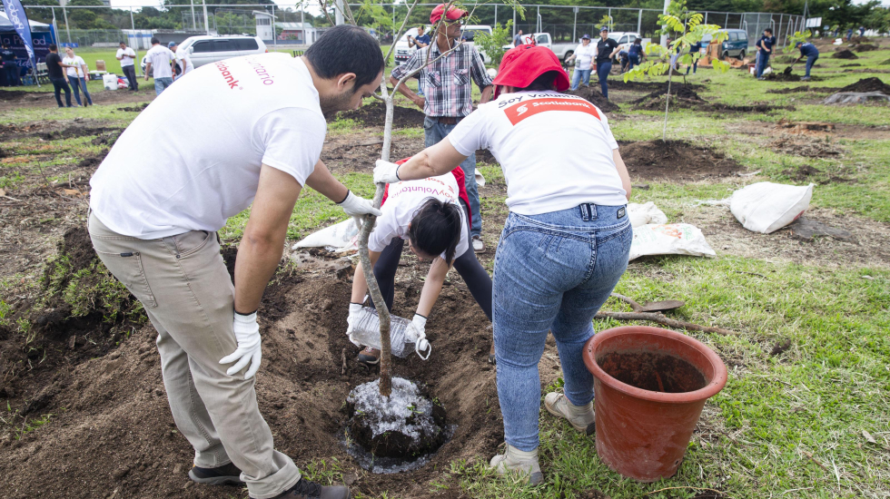 Los voluntarios reciben una capacitación previa para así garantizar el éxito de la siembra. Alejandro Gamboa / Grupo Nación