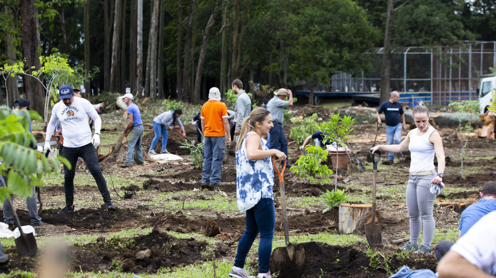 En la jornada de siembra del 20 de julio de 2018 participaron 90 voluntarios. Alejandro Gamboa / Grupo Nación