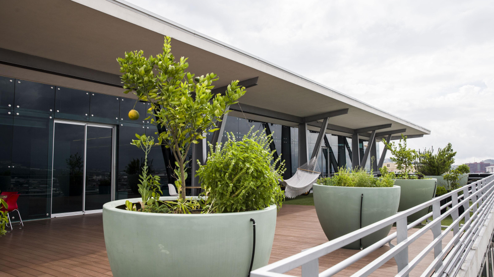 Las huertas en espacios de trabajo cada vez son más comunes. Alejandro Gamboa / Grupo Nación