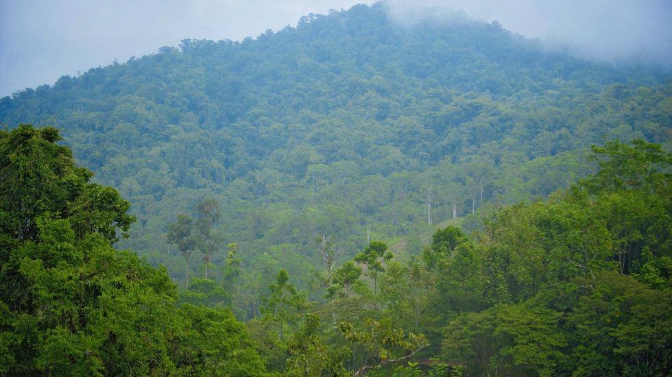 La Reserva Pacuare, propiedad de Ríos Tropicales, se encuentra en las faldas de la Cordillera de Talamanca. Nina Cordero / Grupo Nación