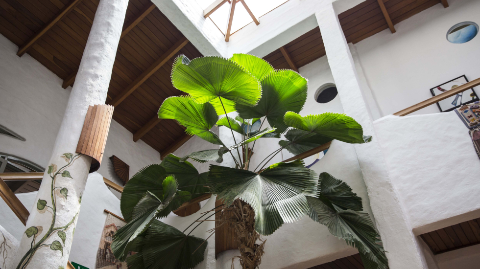 Sea en el espacio externo o interno, la naturaleza siempre tiene cabida en Finca Rosa Blanca. Alejandro Gamboa / Grupo Nación