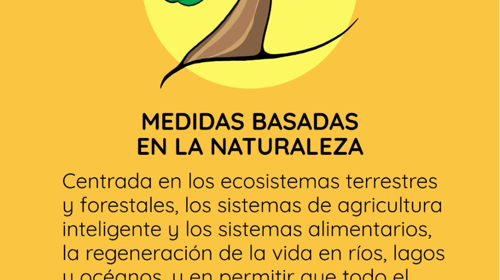 Crédito: Olga Cajina