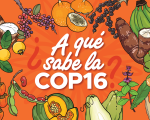 Banner A qué sabe la COP16